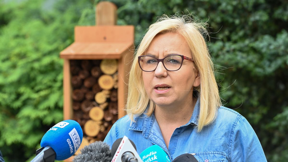 Gdańsk, 05.07.2024. Minister klimatu i środowiska Paulina Hennig-Kloska podczas spotkania z mediami przed siedzibą Urzędu Wojewódzkiego w Gdańsku, 5 bm. (jm) PAP/Andrzej Jackowski