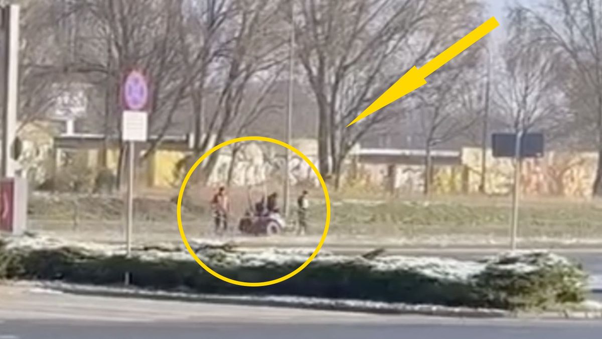 Drogowcy kosili trawę w śniegu 