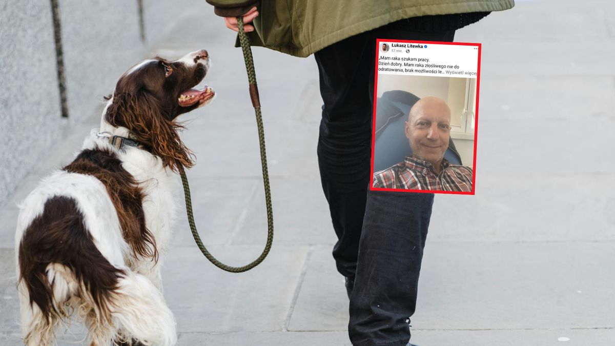  Pan Krzysztof dostał pracę w fundacji Łukasza Litewki