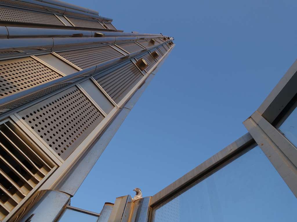 Nowy poziom selfie, czyli zdjęcie z 830-metrowego Burj Khalifa w Dubaju 6