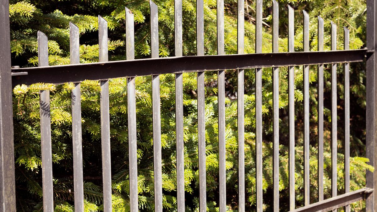 Część z nas dzieli ogrodzenie ze swoim sąsiadem