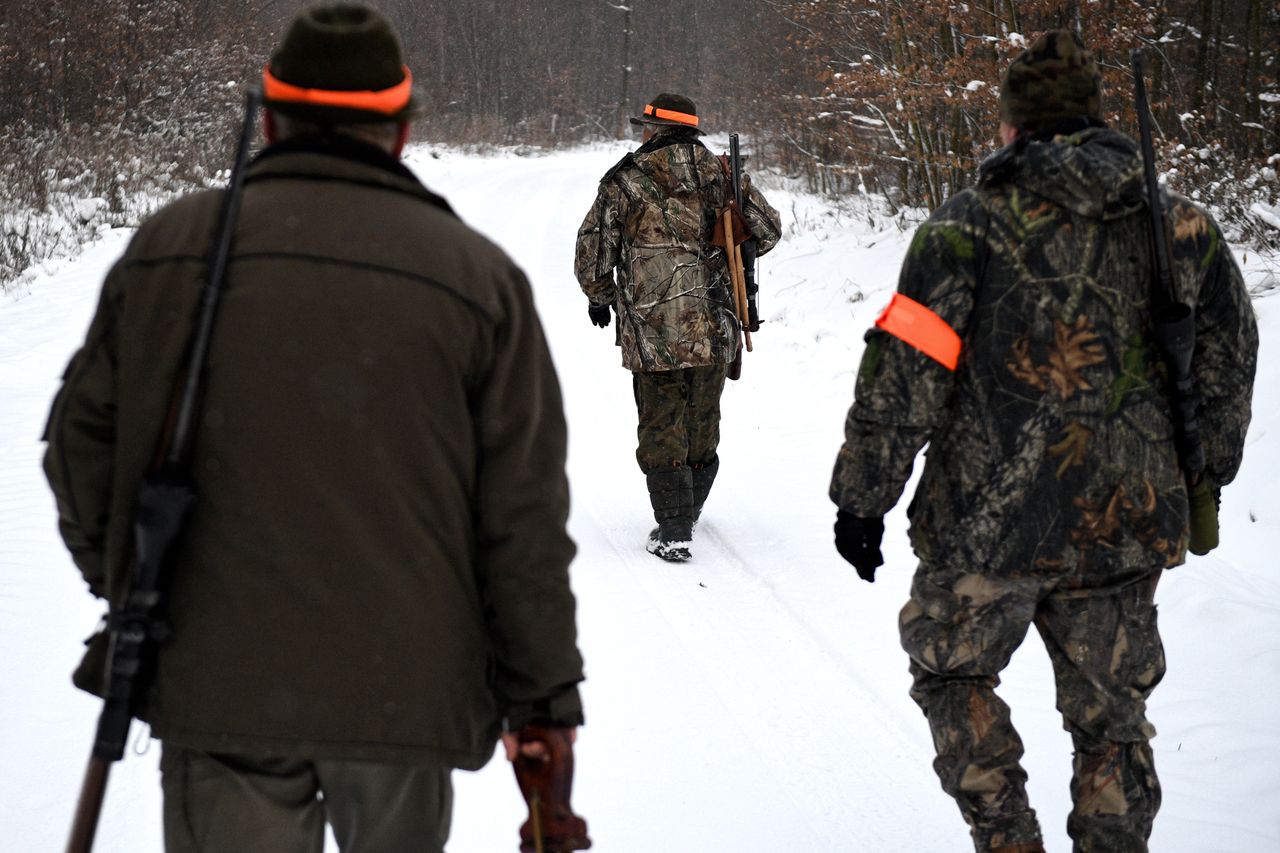 Będzie zakaz. Ministerstwo: duże zmiany na polowaniach