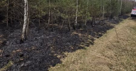 Duże zagrożenie pożarowe lasów. Alert dla pięciu województw