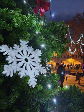 Jelenia Góra: Zaklęcie przedszkolaków rozświetliło choinkę