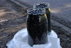 Są już pierwsze jagody leśne. Oto ile kosztują