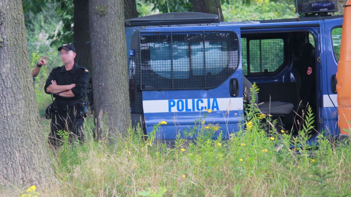 Interwencja policji. Zdjęcie ilustracyjne