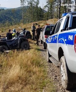 Bielsko-Biała. Przepadł podczas grzybobrania, wszystkie służby na nogach