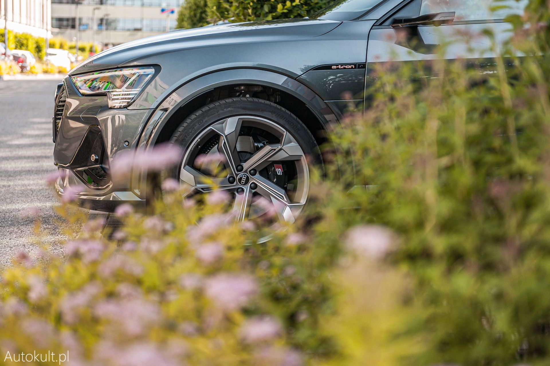 Zdjęcie ilustracyjne do artykułu