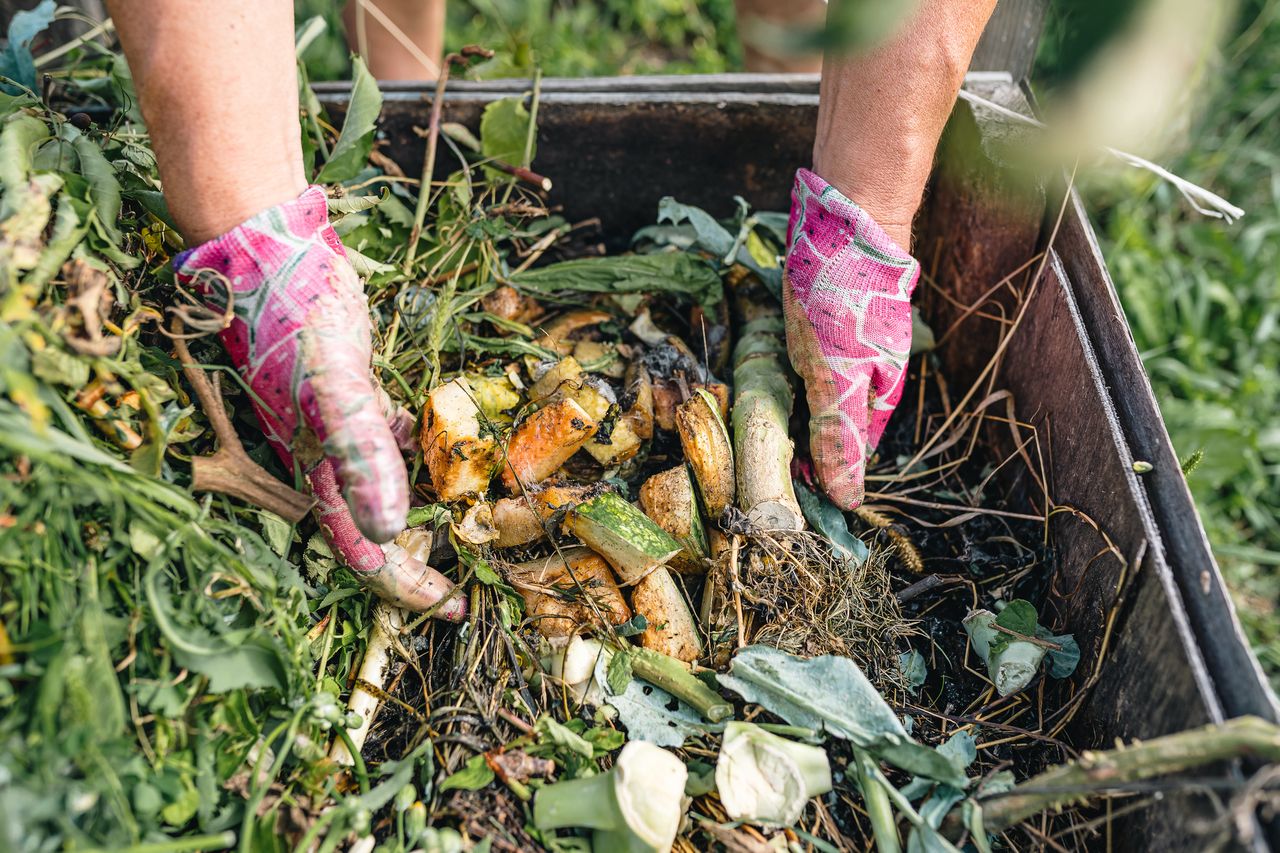 Wrzesień w ogrodzie. Jak przygotować rośliny na jesień w duchu zero waste?