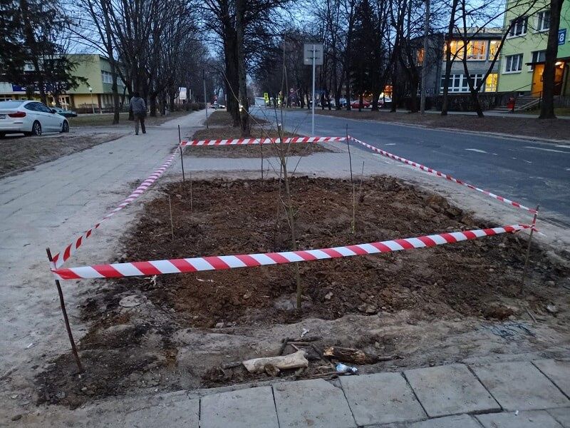 Dziki parking przed szpitalem został zamieniony w zieleniec