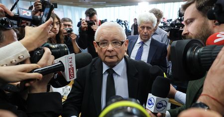 Wariografem w Kaczyńskiego? Kalisz: Mało poważne
