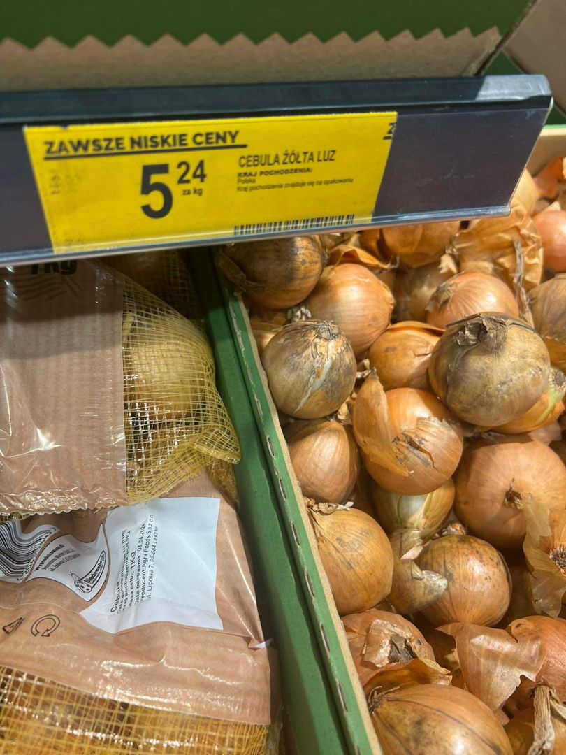 Cana za kilogram cebuli w Książenicach