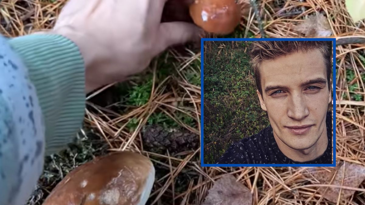 Wbrew pozorom początek listopada nie oznacza końca grzybów