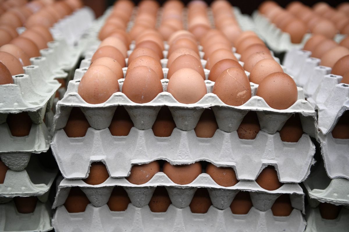 Duży popyt na tańsze jajka spowodował niedobory w niektórych supermarketach w Katalonii i racjonowanie sprzedaży