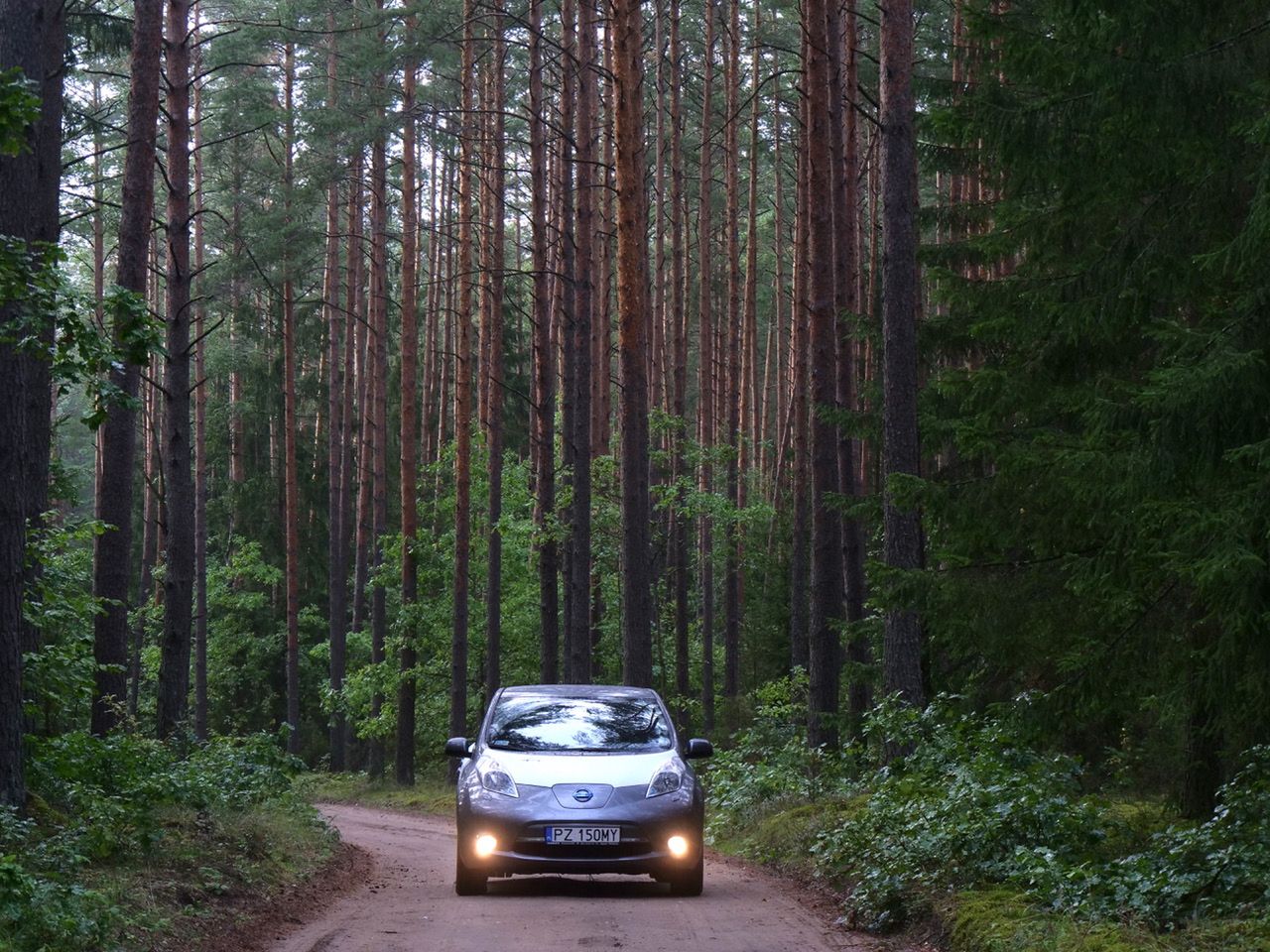 Nissan LEAF jest jednym z najpopularniejszych samochodów elektrycznych w Europie
