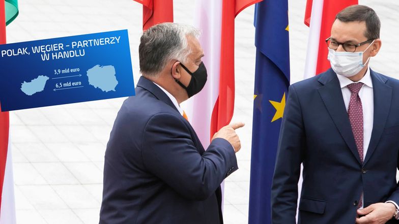 Polak, Węgier, dwa bratanki. Ale jak interesy, to z Niemcami