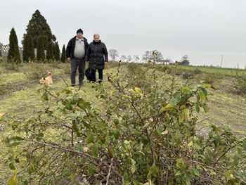 Gm. Wierzbinek: Na polu pigwowiec zamiast żyta. Pomysł, który zaowocował