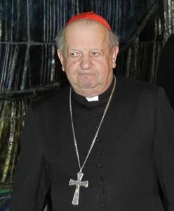 "Don Stanislao". Szokujące wyniki dziennikarskiego śledztwa