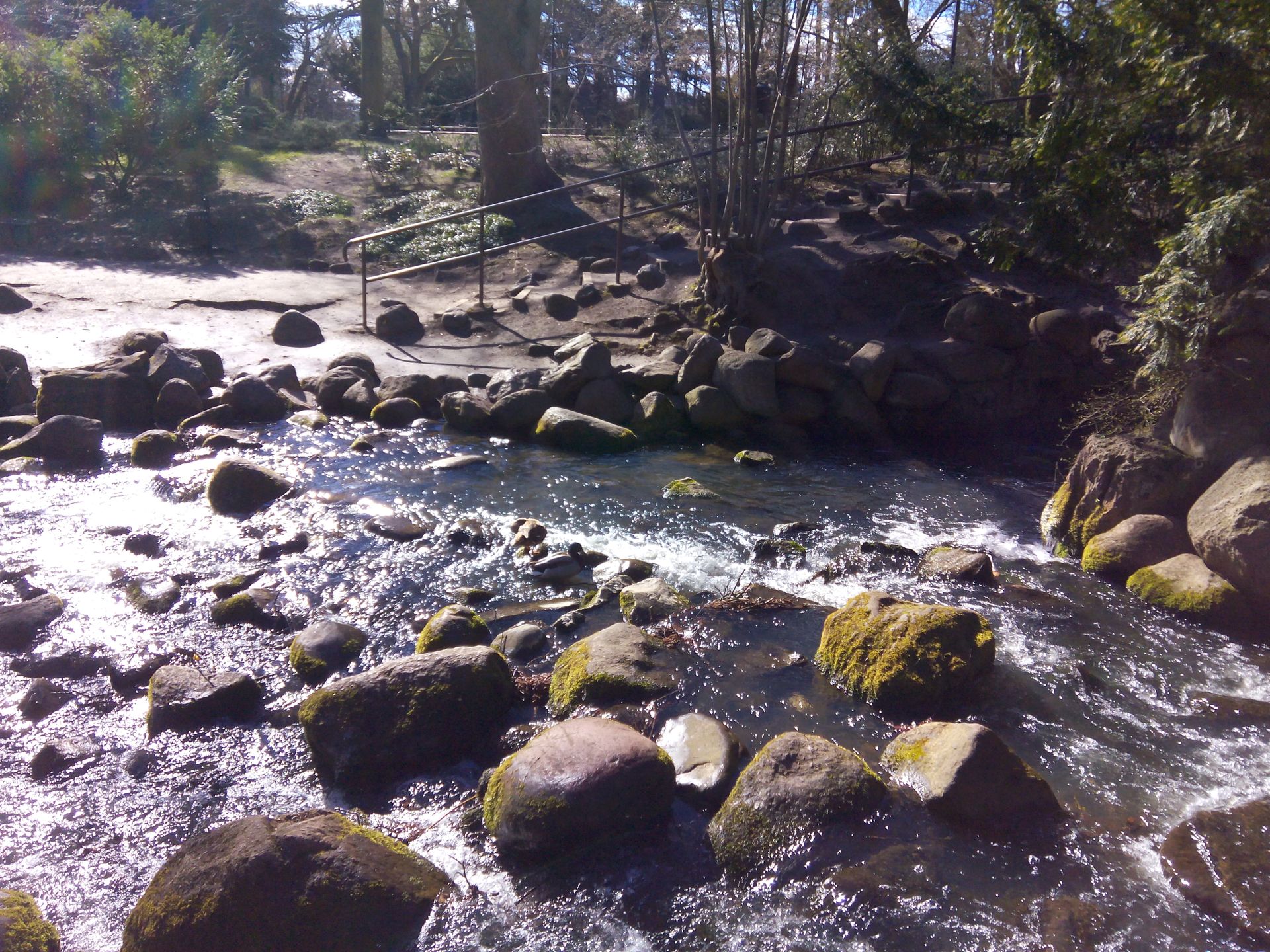 Goclever Insignia 550i - test i recenzja taniego phabletu 29