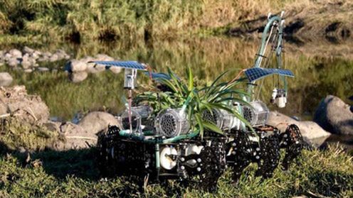 Ekologiczny robot-roślina rodem z Meksyku 1