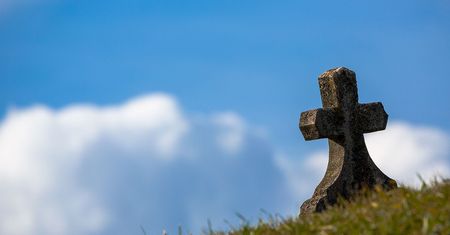 Szok w Afryce. Przekopali grządki w ogrodzie wspólnoty apostolskiej