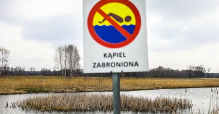 Escherichia coli na kąpielisku. Normy przekroczone aż czterokrotnie