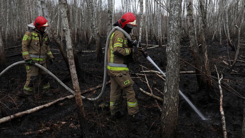 Biebrzański Park Narodowy płonął od niedzieli. Teraz trwa ustalanie przyczyny pożaru 