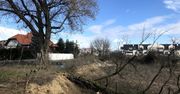 Tragedia w Morawinie. Dwie dziewczynki uderzone przez spadającą gałąź.