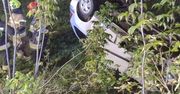 Dachowanie osobówki w gminie Ćmielów