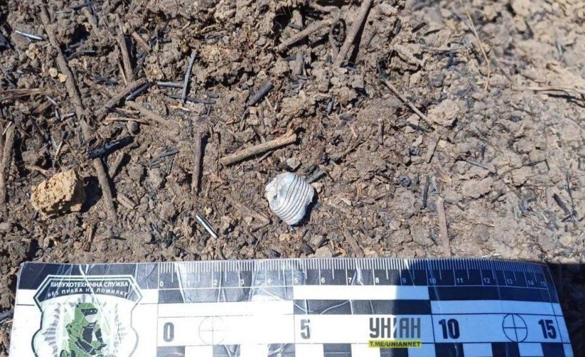 PFM-1 mine found in Ukraine