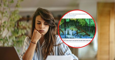 Test spostrzegawczości. Tylko 1 proc. osób zobaczy ten szczegół w 15 sekund