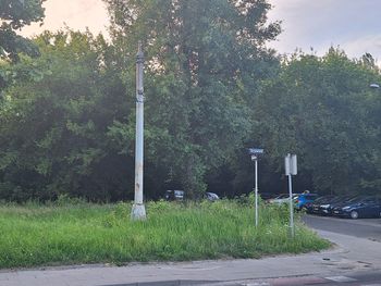 Z lewobrzeżnego Torunia zniknie jeden ze śladów po tramwajach. Czy i kiedy tam wrócą?