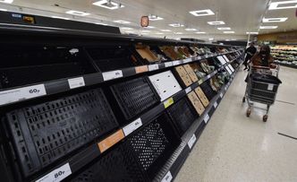 Wielka Brytania potrzebuje kierowców. Chce znieść ograniczenia