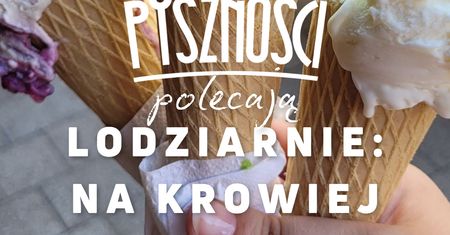 Pyszności polecają lodziarnie: Lody Na Krowiej