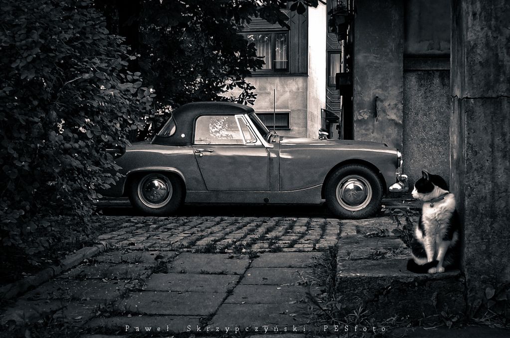 Motoryzacja na czarno-biało