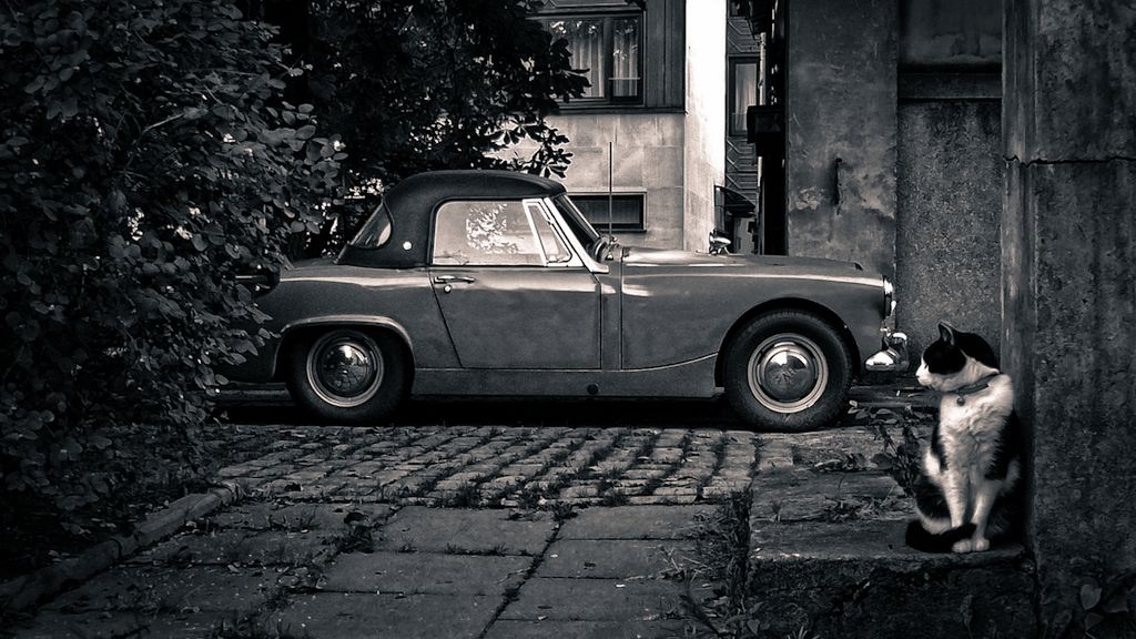 Motoryzacja na czarno-biało 1