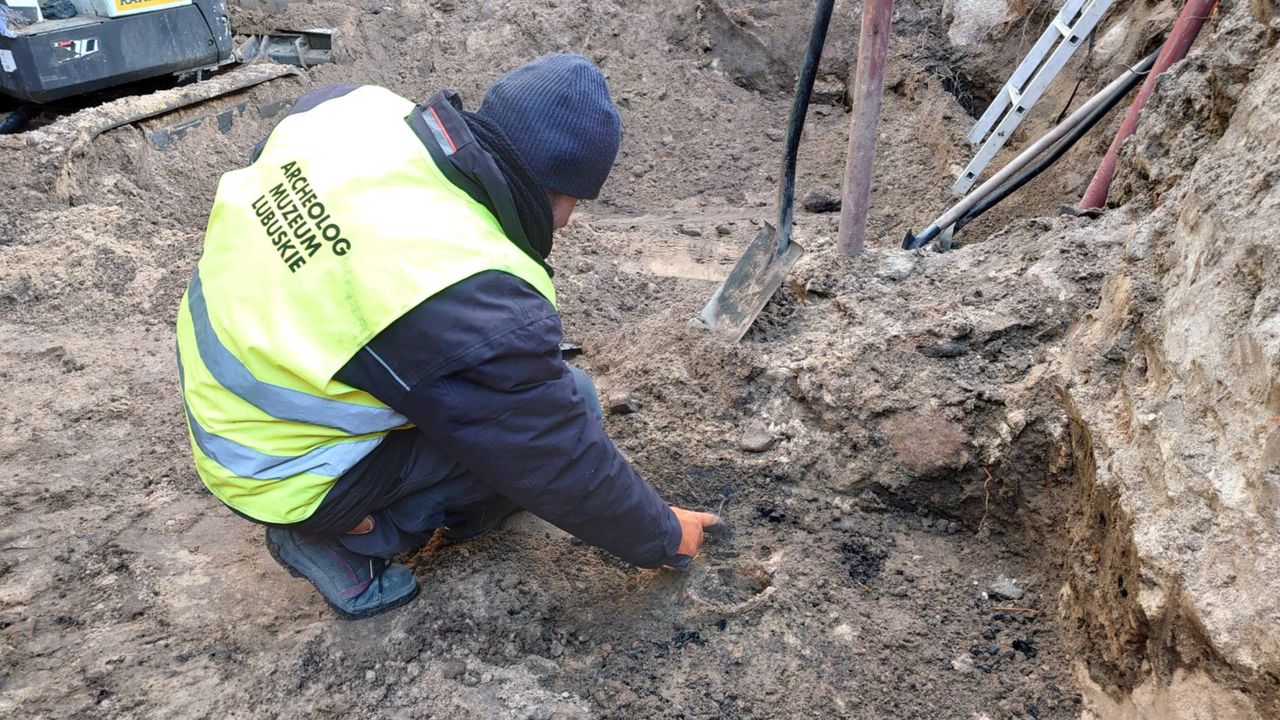 Odkrycie archeologiczne w pobliżu dawnej Przemysłówki w Gorzowie