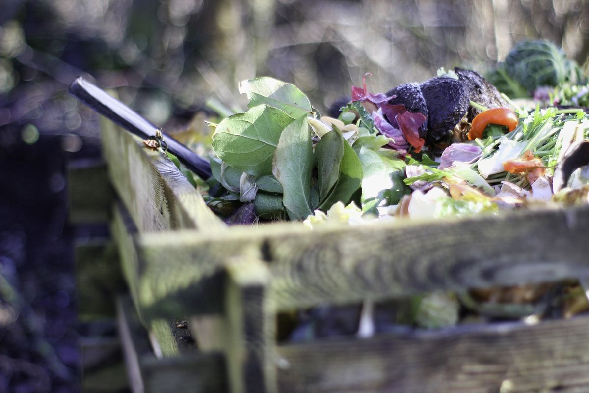 Kompost to naturalny nawóz dla roślin i warzyw