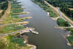 Katastrofa ekologiczna na Odrze. Wody Polskie apelują do mieszkańców