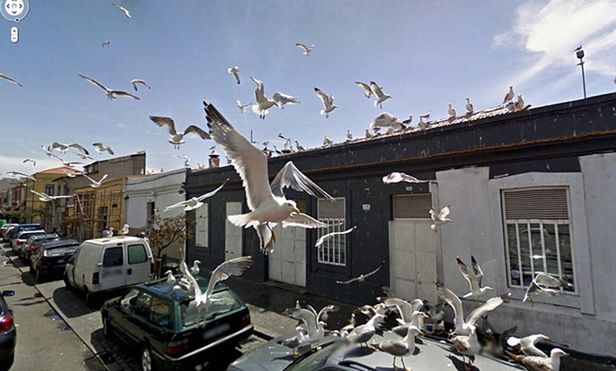Google Street View widzi wszystko! Zobaczcie 12 niesamowitych zdjęć 8