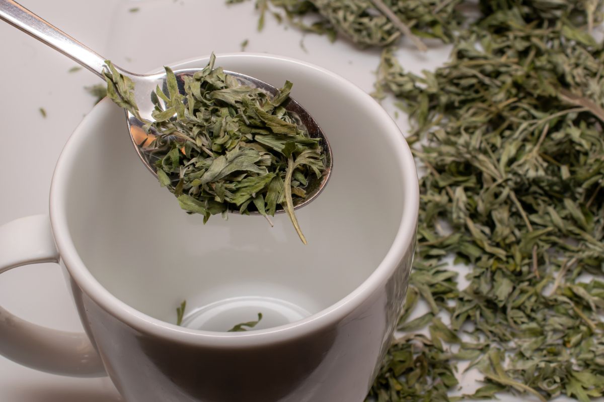 Dawniej często używano jako przyprawę. Dziś kojarzony jest tylko z jednym