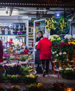 Wszystko, co powinnam wiedzieć, zanim umrę