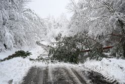 Śnieżny armagedon. Ludzie odcięci od świata