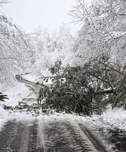 Śnieżny armagedon. Ludzie odcięci od świata