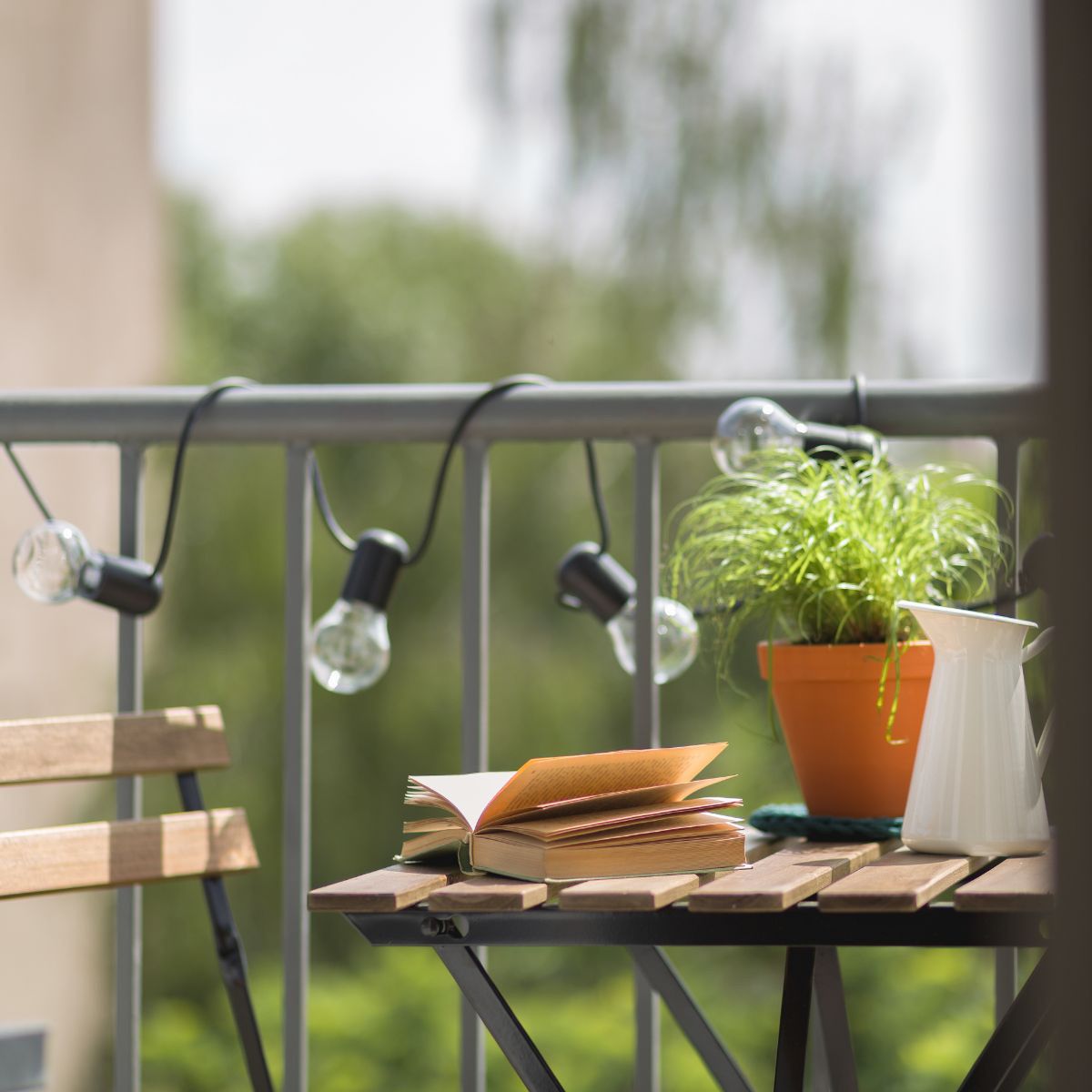 Całoroczne pnącza na balkon