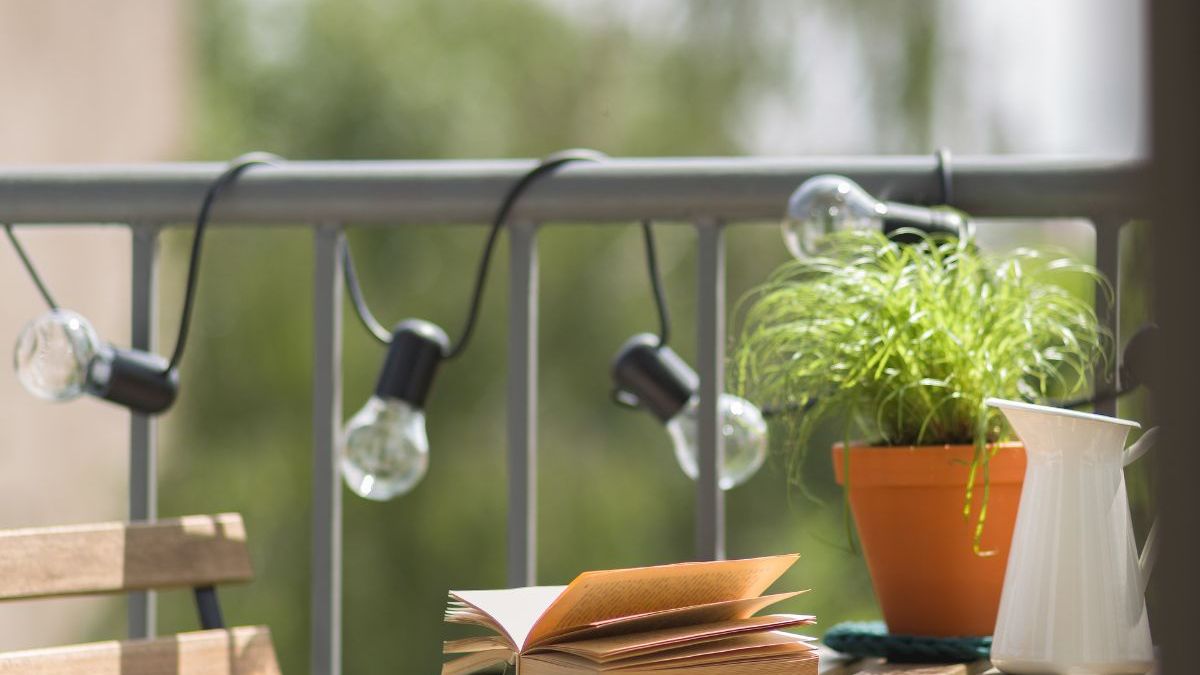 pnącza na balkon