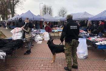 Skontrolowali handlarzy na targowisku. Posypały się mandaty dla Bułgarów