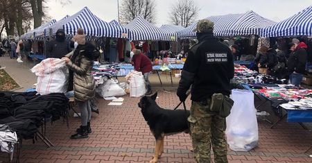 Skontrolowali handlarzy na targowisku. Posypały się mandaty dla Bułgarów