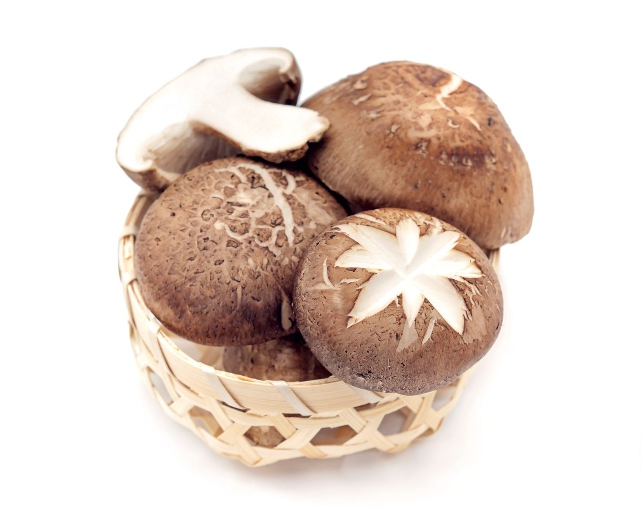 Grzyby zamiast półprzewodników. Ekologiczna rewolucja technologiczna