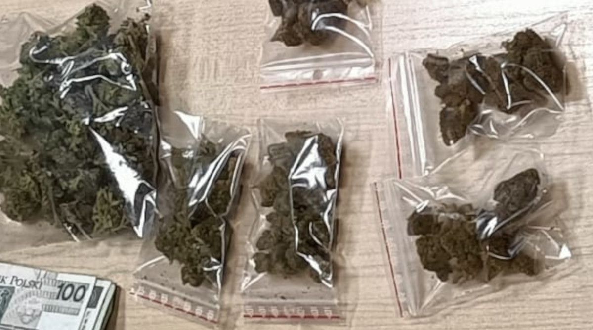 U dilera znaleziono cały wachlarz narkotyków